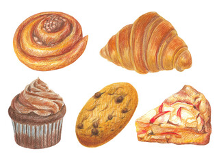 Hand drawn illustration with cupcake, cookie, croissant, cinnamon bun, apple cake for graphic design. Isolated colored pencil illustrations on white background. Coffee collection.