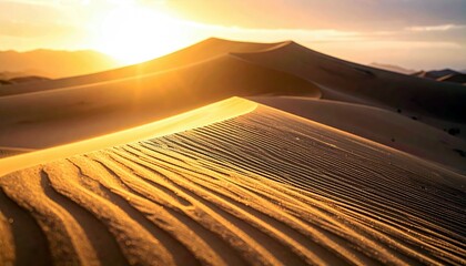 Sunlight illuminates the undulating sand dunes of a desert, casting long shadows and highlighting the intricate patterns etched by the wind.
