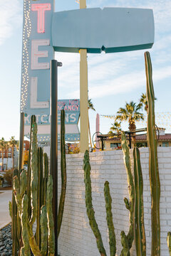 Neon motel sign and cacti in Las Vegas scenery