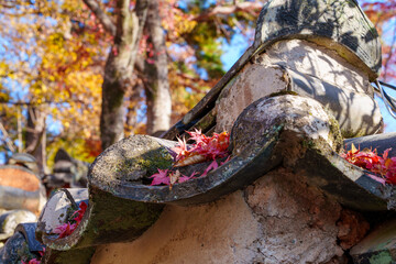 A close-up photo of fallen leaves and maple trees on the old tiled roof of Bulguksa Temple in Gyeongju, South Korea.