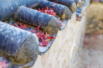 A close-up photo of fallen leaves and maple trees on the old tiled roof of Bulguksa Temple in Gyeongju, South Korea.