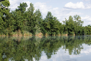 Obraz premium lake in the forest
