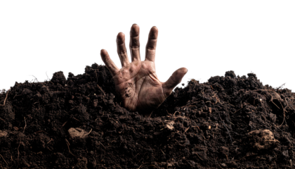 Zombie hand reaching out from earth, a creepy and scary unread monster rising from grave for Halloween concept isolated on solid white background
