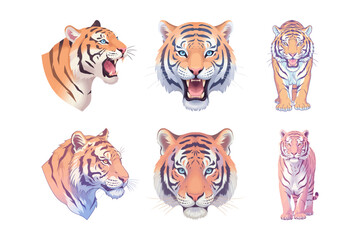 Naklejka premium A collection of vector illustrations of tigers in various poses. A collection of vector clip art of tigers with clean backgrounds.