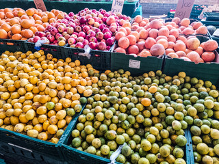 Vibrant citrus abundance at farmers market stall with oranges, tangerines and limes