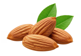 Four Almonds and Leaves Isolated on Transparent Background