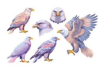 Obraz premium A collection of eagle vector illustrations. Vector clipart designs of predatory birds with clean backgrounds.