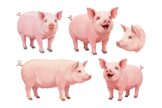 vector set of pig illustrations in various cute and adorable poses