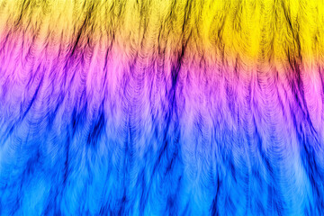 Abstract colorful fur texture with bright yellow, pink, purple, and blue hues. This vibrant visual evokes creativity, energy and modern digital art with copy space.