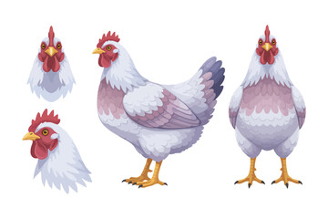 Fototapeta premium Chicken hen vector illustration set. Female chickens vector clipart design. Farm animals