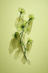 Handmade wire flowers casting long shadows on yellow wall