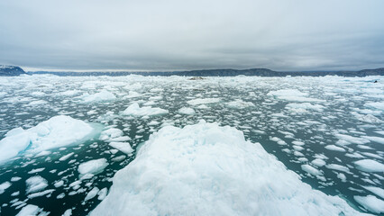 Icebergs floating in Greenland's cold waters