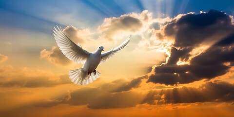 A white dove with wings spread wide flies through a dramatic sky with sunbeams breaking through clouds