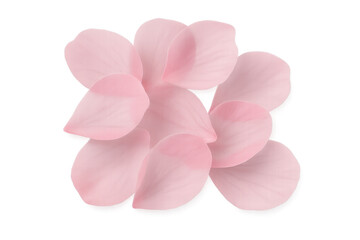 Fototapeta premium Pink flower petals falling and scattering, creating a soft romantic floral background on transparent