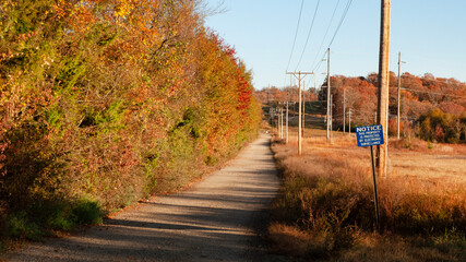 Dirt road with Electronic Surveiliance sign in autumn