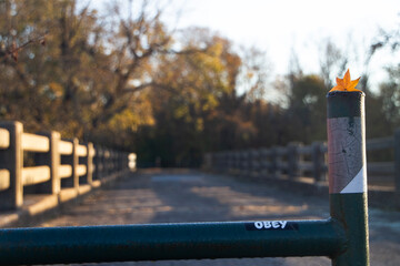 Obey sticker outdoors with autumn leaf on pipe rail on a footbridge