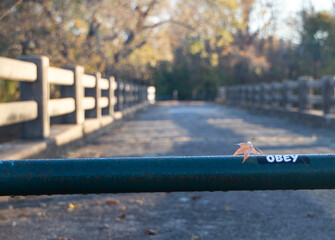 Obey sticker outdoors with autumn leaf on pipe rail on a footbridge