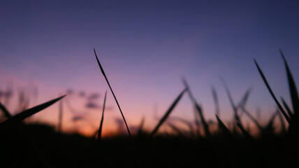 A minimalist close-up of grass captured in soft silhouette against a smooth sunset gradient sky. The scene blends warm orange tones with deep purple and blue hues, creating a calm and atmospheric mood