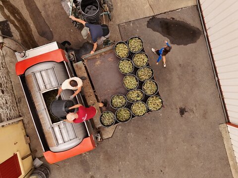 Aerial view of workers loading buckets filled with harvested materials onto a truck, the scene bathed in soft light, Vertou, Pays de la Loire, France.