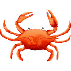 A bright orange crab with articulated legs and claws stands with its pincers raised against a clean white background ideal for illustration and design elements