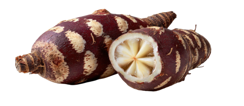 Two cross-sectioned tubers with striking purple and cream markings