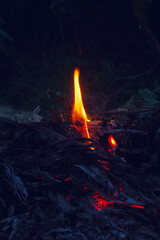 fire in the fireplace