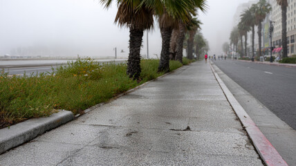 Foggy sidewalk with palm trees and deserted street