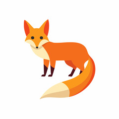 Obraz premium Cartoon Fox Illustration Standing, Looking, Orange, and White Colors