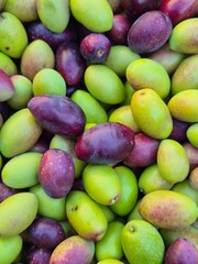 Close up of freshly harvested olives in the South of France. Lucques olive