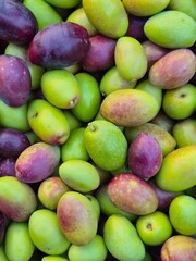 Close up of freshly harvested olives in the South of France. Lucques olive