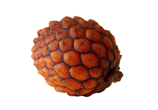 A textured, bumpy, reddish-brown, bumpy fruit on a dark background