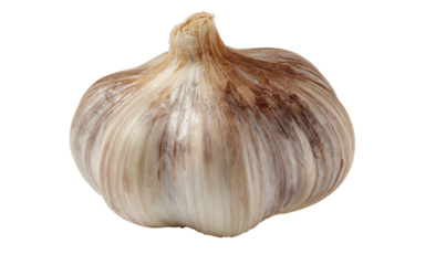 A single whole garlic bulb with reddish-purple streaks on its papery skin