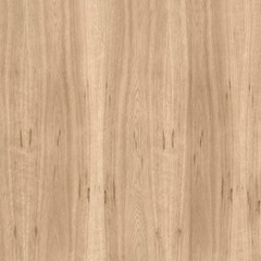 Natural OakTexture Close-Up Texture