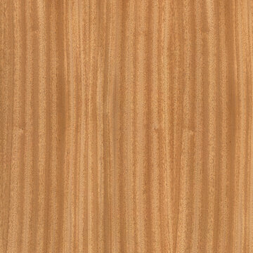 Quarter-Sawn Sapele Veneer Texture Close-Up Texture