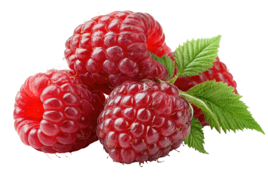 Vibrant red raspberries clustered with green leaves
