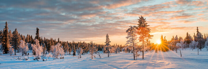 Panoramic snowy wintry landscape at sunset, frozen trees in winter in Saariselka, Lapland, Finland...