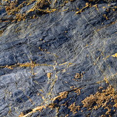 Grey Granite Crystalline Texture Close-Up Texture