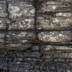 Rough Sedimentary Rock Texture Close-Up Texture