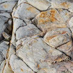 Cracked Grey Rock Face Close-Up Texture