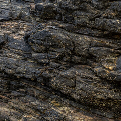 Warm Dark Basalt Rock Texture Close-Up Texture