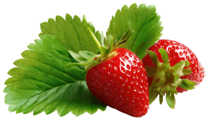 Two vibrant red strawberries with fresh green leaves