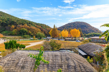 Autumn scenery of Yangdong Village, an old traditional village in Gyeongju, Korea, with beautiful ginkgo trees that have turned yellow in autumn.