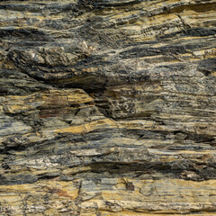 Beige and Grey Sedimentary Rock Texture Close-Up Texture