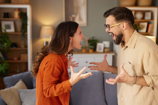 A couple is having a heated argument in their cozy living room, expressing frustration and anger while surrounded by home decor in the evening light.
