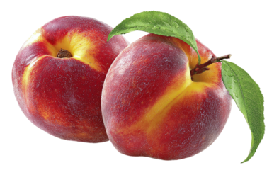 Two ripe peaches with leaves on a black background