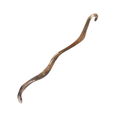 Vanilla dried stick watercolor illustration. Isolated aroma pod, sweet bakery flavor ingredient, exotic tropical plant element for cooking book, recipe, menu, poster, packing design