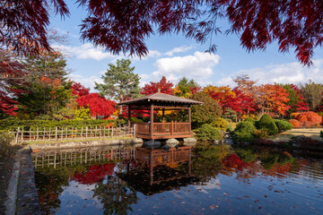 北海道　札幌　平岡樹芸センター　紅葉　もみじ　トンネル