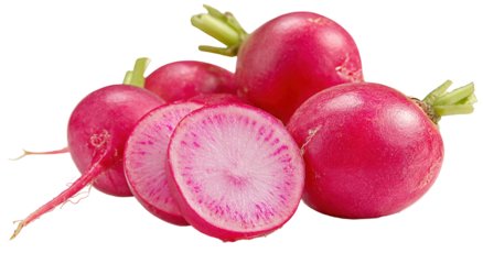 Fresh radishes with visible cross section vibrant pink color on transparent background