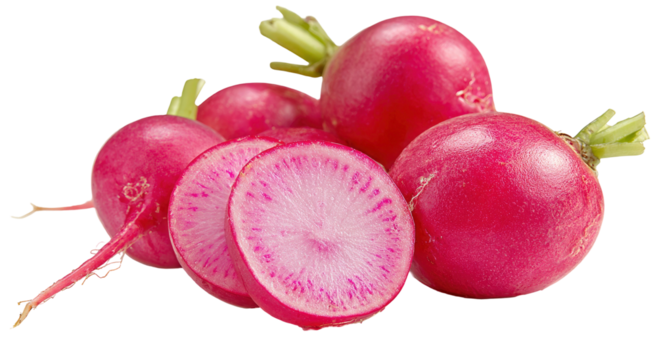 Fresh radishes with visible cross section vibrant pink color on transparent background