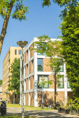row of residence buildings in Funenpark, summer Amsterdam